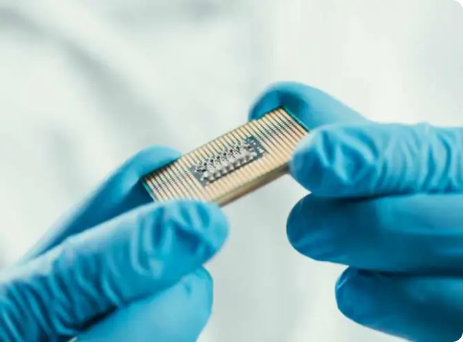 Person holding a CPU